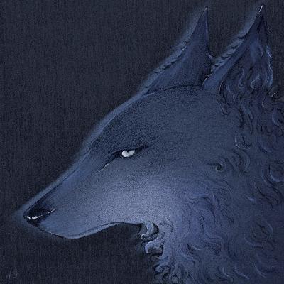 :loup: Shalien's avatar