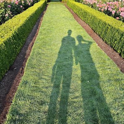 yawnbox🔜fosdem's avatar